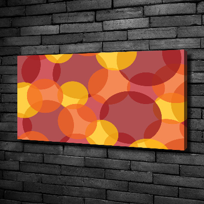 Foto quadro su tela Cerchi colorati