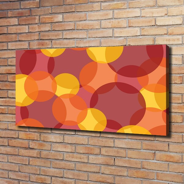 Foto quadro su tela Cerchi colorati