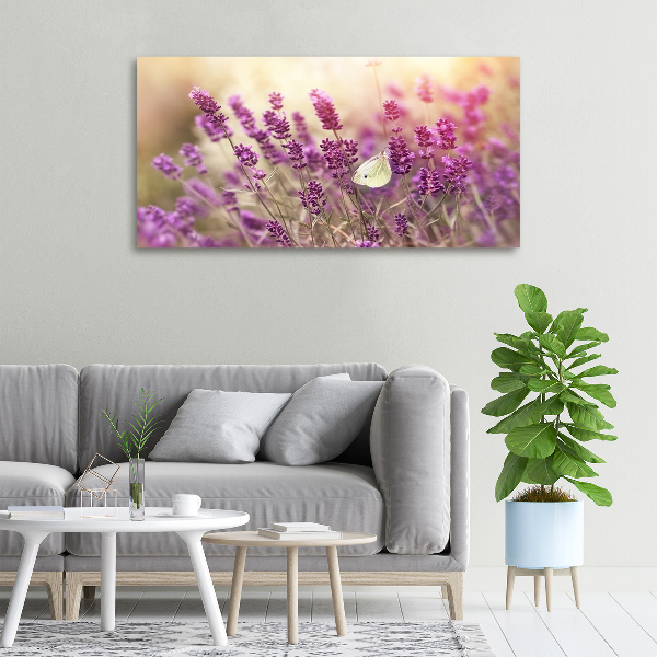 Quadro su tela Lavanda