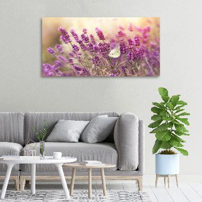 Quadro su tela Lavanda
