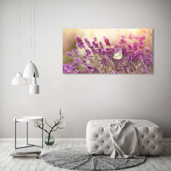 Quadro su tela Lavanda
