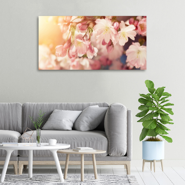 Foto quadro su tela Fiori di ciliegio