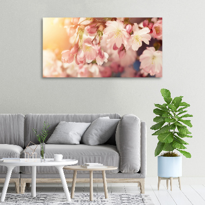 Foto quadro su tela Fiori di ciliegio