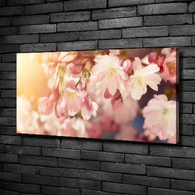 Foto quadro su tela Fiori di ciliegio