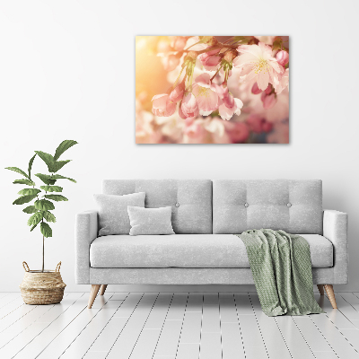 Foto quadro su tela Fiori di ciliegio