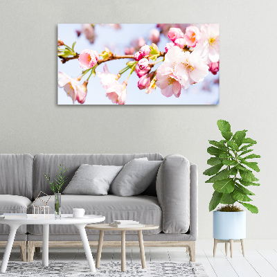 Quadro stampa su tela Fiori di ciliegio