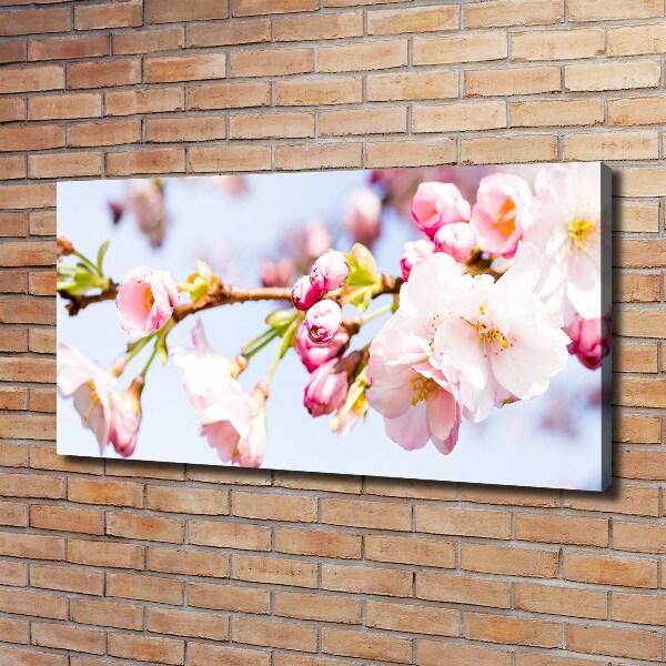 Quadro stampa su tela Fiori di ciliegio