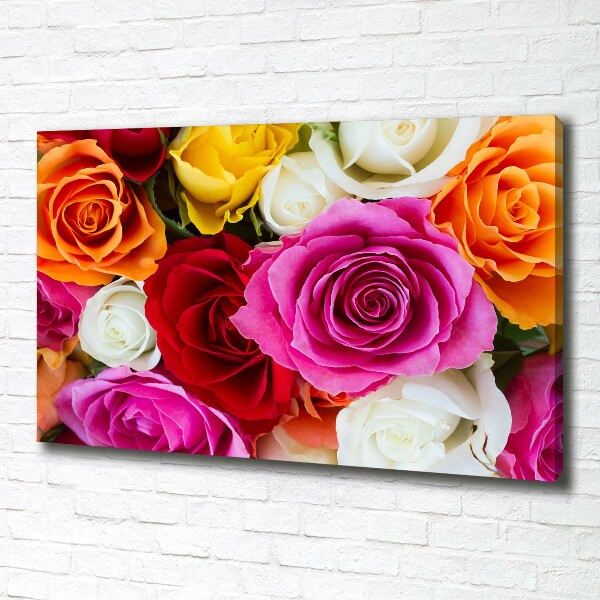 Quadro stampa su tela Rose colorate