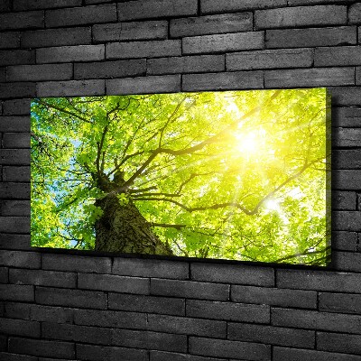 Quadro su tela Castagna in primavera