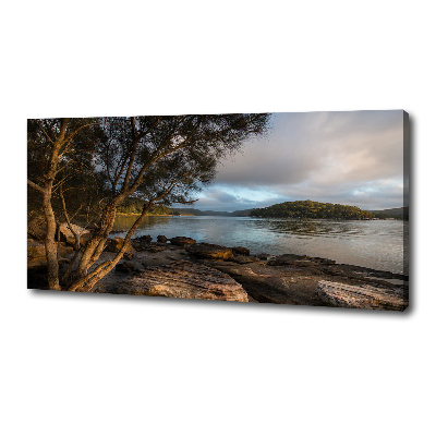 Quadro stampa su tela Un albero in riva al fiume