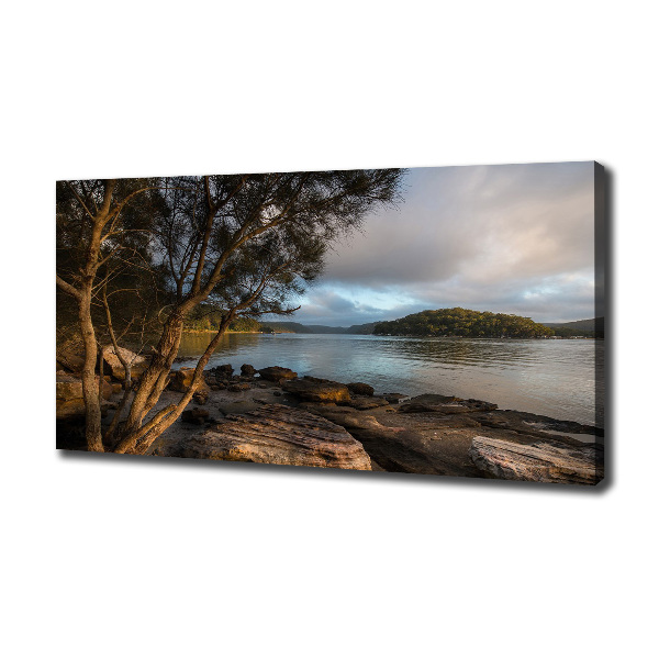 Quadro stampa su tela Un albero in riva al fiume