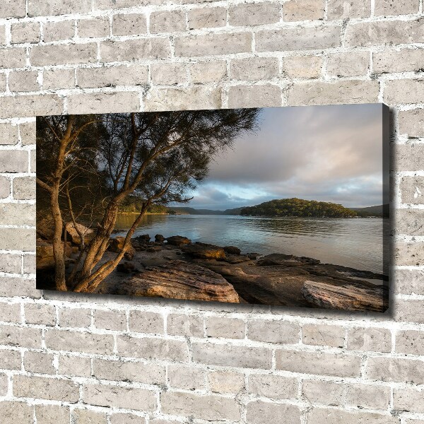 Quadro stampa su tela Un albero in riva al fiume