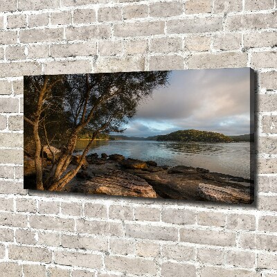 Quadro stampa su tela Un albero in riva al fiume