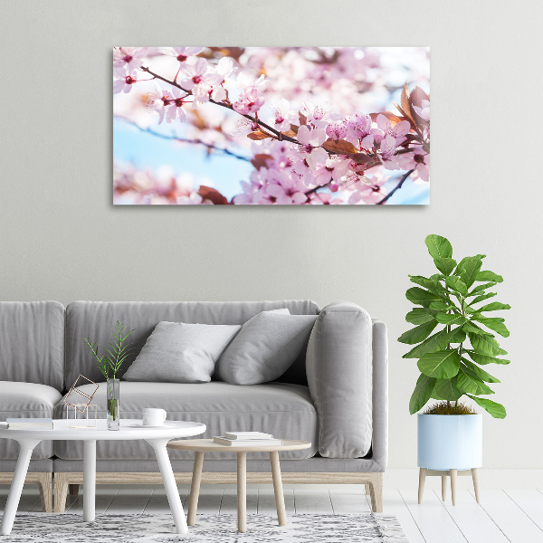 Quadro stampa su tela Fiori di ciliegio
