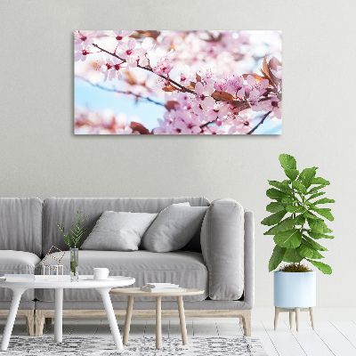 Quadro stampa su tela Fiori di ciliegio