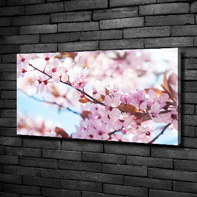 Quadro stampa su tela Fiori di ciliegio