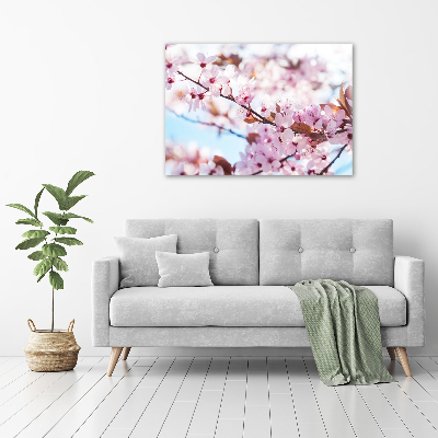 Quadro stampa su tela Fiori di ciliegio