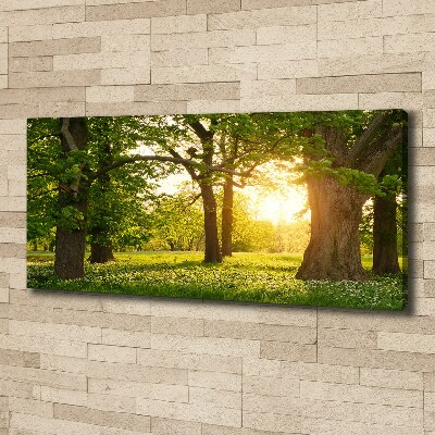 Quadro su tela Alberi nel parco