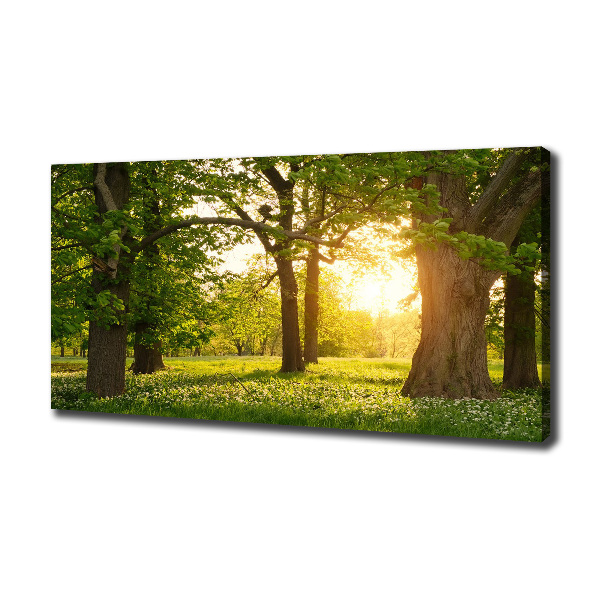 Quadro su tela Alberi nel parco