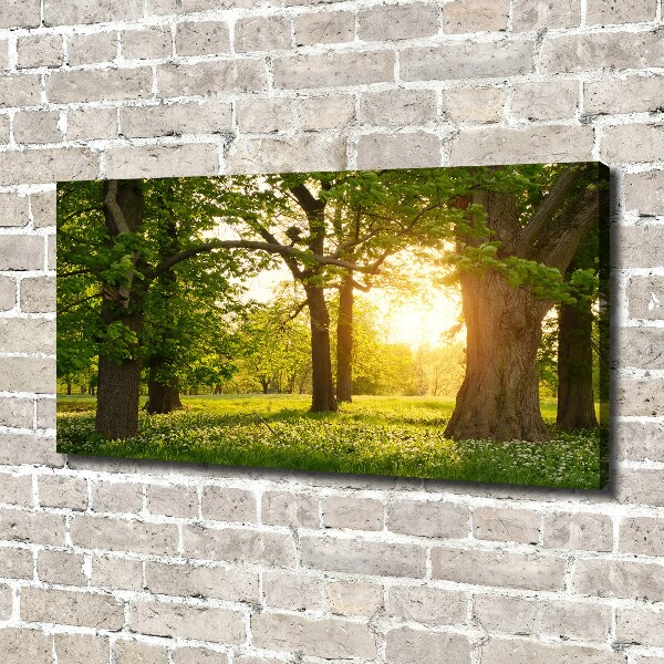 Quadro su tela Alberi nel parco