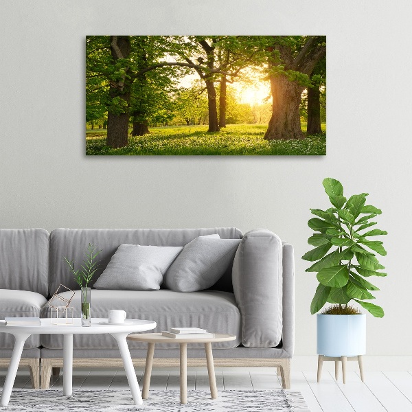 Quadro su tela Alberi nel parco
