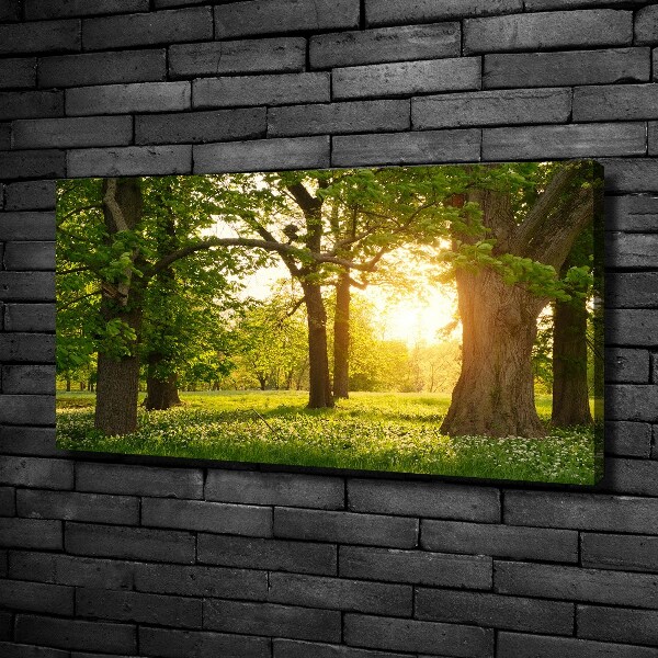 Quadro su tela Alberi nel parco