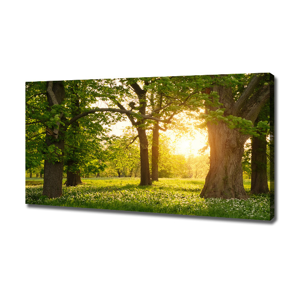 Quadro su tela Alberi nel parco