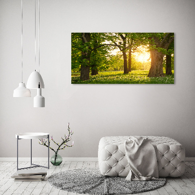 Quadro su tela Alberi nel parco