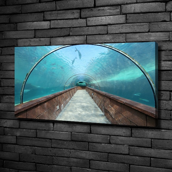 Quadro stampa su tela Tunnel dell'acquario
