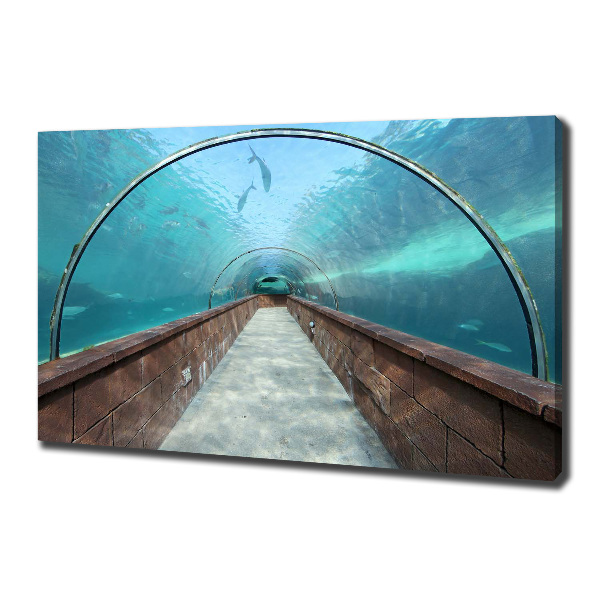 Quadro stampa su tela Tunnel dell'acquario