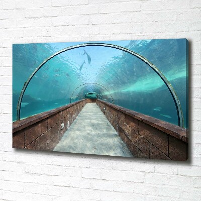 Quadro stampa su tela Tunnel dell'acquario