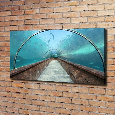 Quadro stampa su tela Tunnel dell'acquario