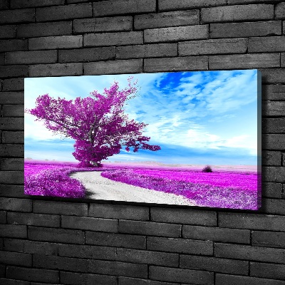 Foto quadro su tela Albero e sentiero