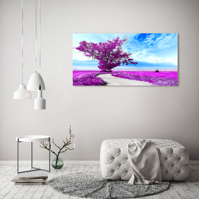 Foto quadro su tela Albero e sentiero