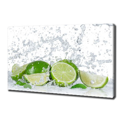 Quadro su tela Calce e acqua