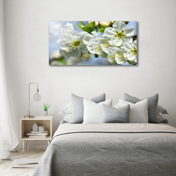 Foto quadro su tela Fiori di ciliegio