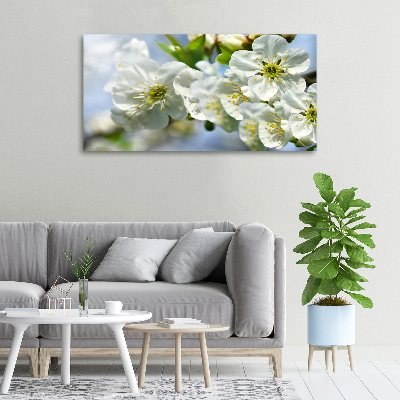 Foto quadro su tela Fiori di ciliegio