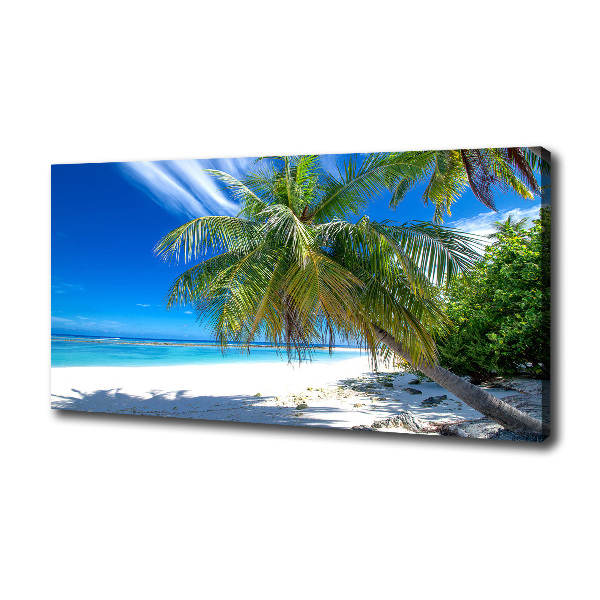 Quadro su tela Spiaggia tropicale