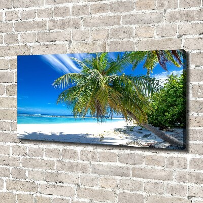 Quadro su tela Spiaggia tropicale