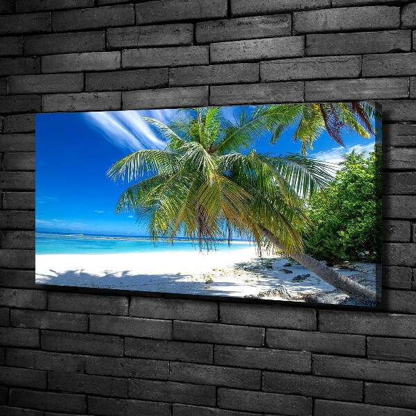 Quadro su tela Spiaggia tropicale