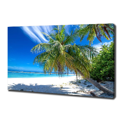 Quadro su tela Spiaggia tropicale
