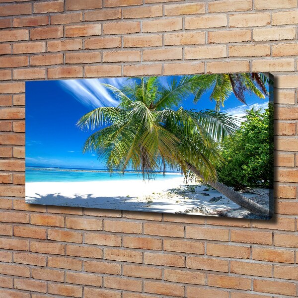 Quadro su tela Spiaggia tropicale