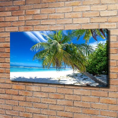 Quadro su tela Spiaggia tropicale