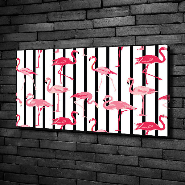 Foto quadro su tela Fenicotteri striati