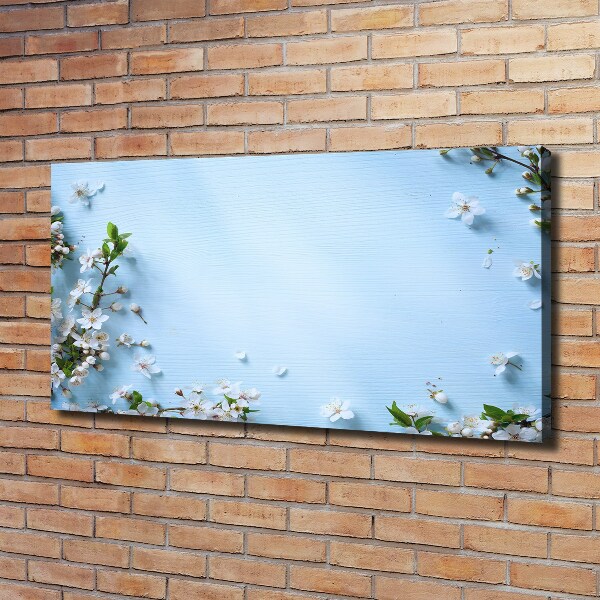Quadro stampa su tela Sfondo con fiori di ciliegio