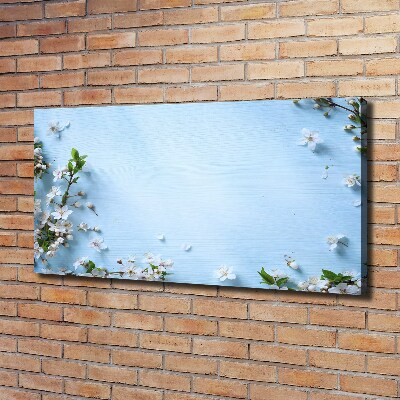 Quadro stampa su tela Sfondo con fiori di ciliegio