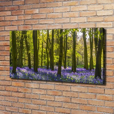 Quadro stampa su tela Bosco in primavera
