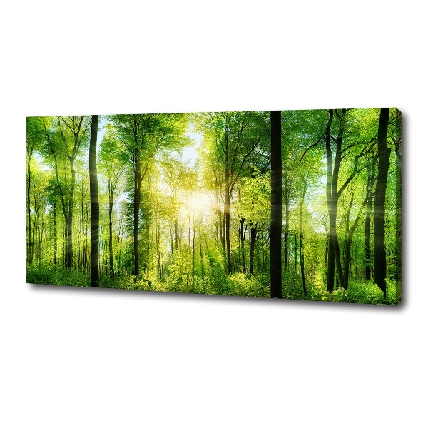 Quadro su tela Foresta al sole