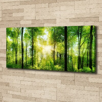 Quadro su tela Foresta al sole