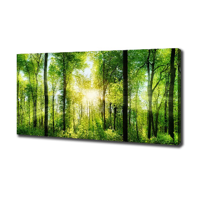 Quadro su tela Foresta al sole